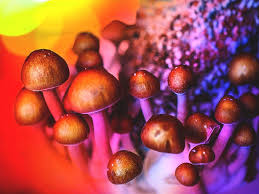 The shrooms in dc are the smart choice to acquire them on your front door post thumbnail image