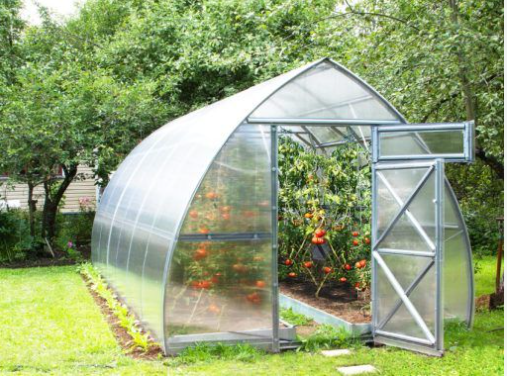 5 Tips For Summer Gardening In A Greenhouse post thumbnail image