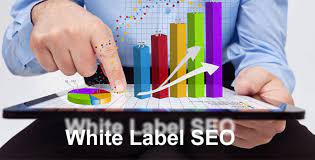 Use white label SEO minimizing the project of the agency post thumbnail image