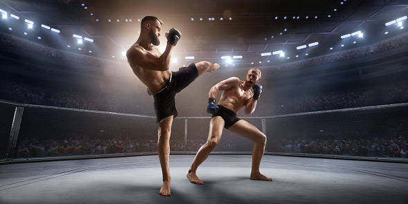 Get Ready for the Ultimate Fight Practical experience: See MMA Streams Now post thumbnail image