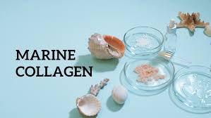 Choosing the Best Collagen Supplements: A Comprehensive Review post thumbnail image