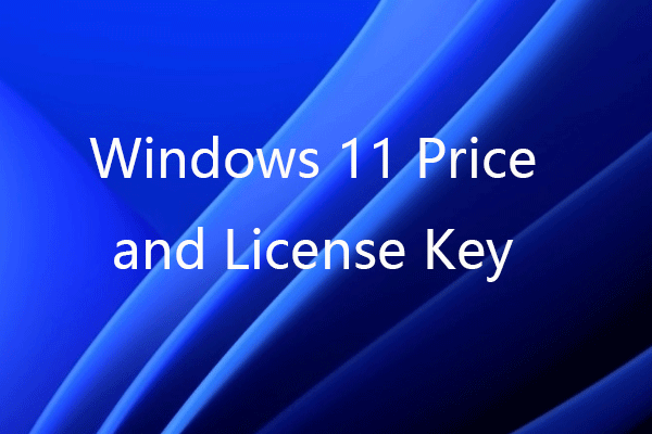 Windows 11 Pro License Special Sale: Cost-Effective Pro Version Access post thumbnail image