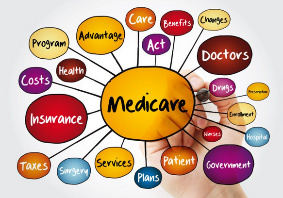 Blue Cross Medicare Advantage 2024: Discover Benefits post thumbnail image