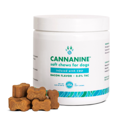 Unlocking Wellness for Dogs: CBD Gummies in Action post thumbnail image
